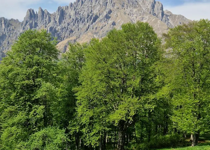 Tra Monti E Lecco